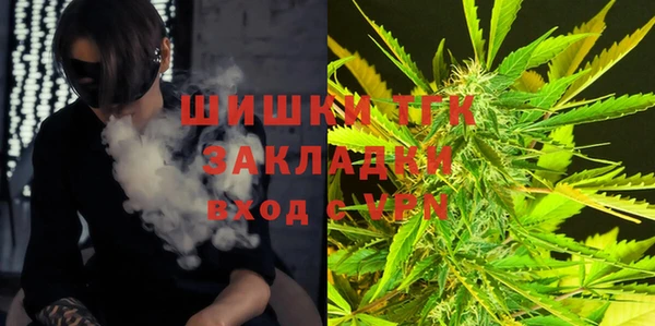 2c-b Богородицк