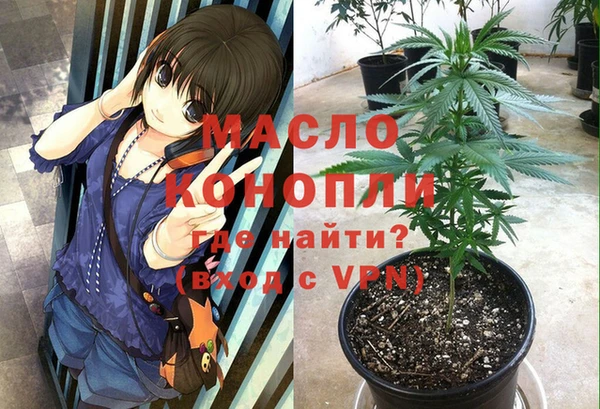 2c-b Богородицк